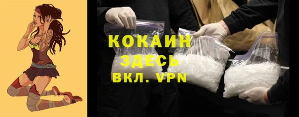 прущие грибы Елабуга