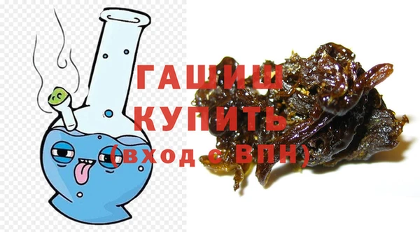 прущие грибы Елабуга