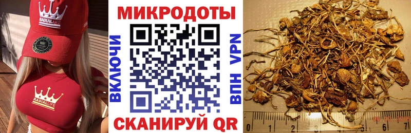 Псилоцибиновые грибы прущие грибы  Кольчугино 