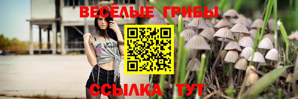 Псилоцибиновые грибы мухоморы  Вход с VPN  купить наркоту  Кольчугино 