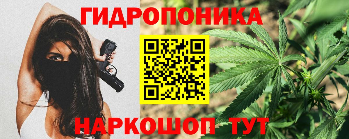 Канабис Ganja  Каннабис планчик  Кольчугино  Вход с VPN 