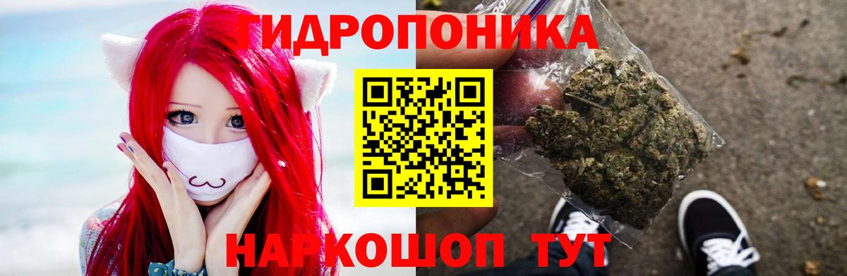 Шишки марихуана OG Kush Кольчугино